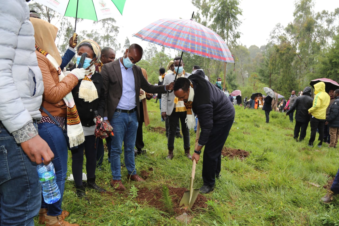 የገንዘብ ሚኒስቴርና የተጠሪ ተቋማት ሰራተኞች በሲዳማ ክልል በአርቤጎና ወረዳ የአረንጓዴ አሻራቸውን ሲያኖሩ እና የአቅመ ደካሞችን ቤት የማደስ ተግባር ሲሳተፉ